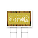 Pick Your Own Sweet Corn