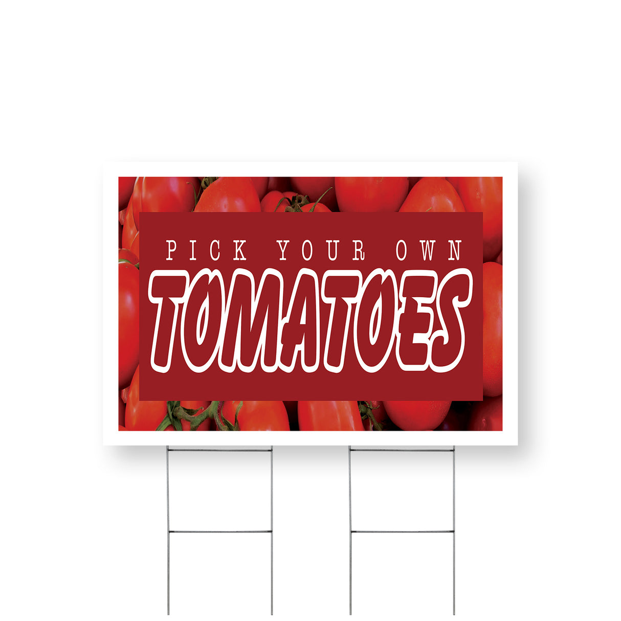 Pick Your Own Tomatoes