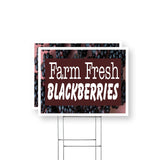 Farm Fresh Blackberries