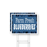 Farm Fresh Blueberries