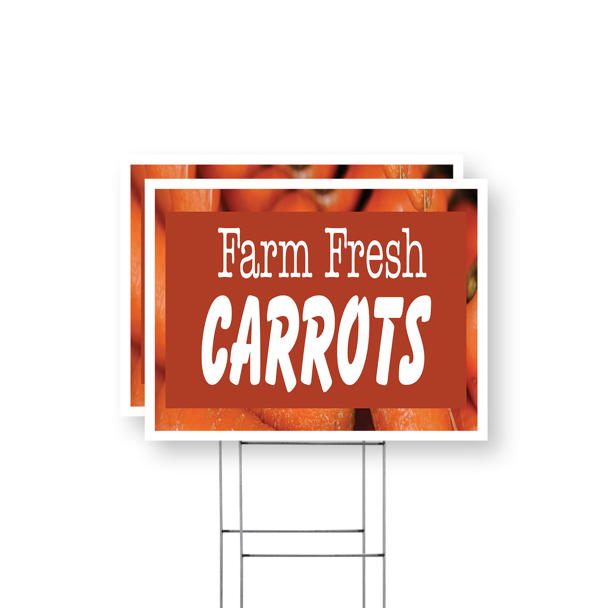 Farm Fresh Carrots