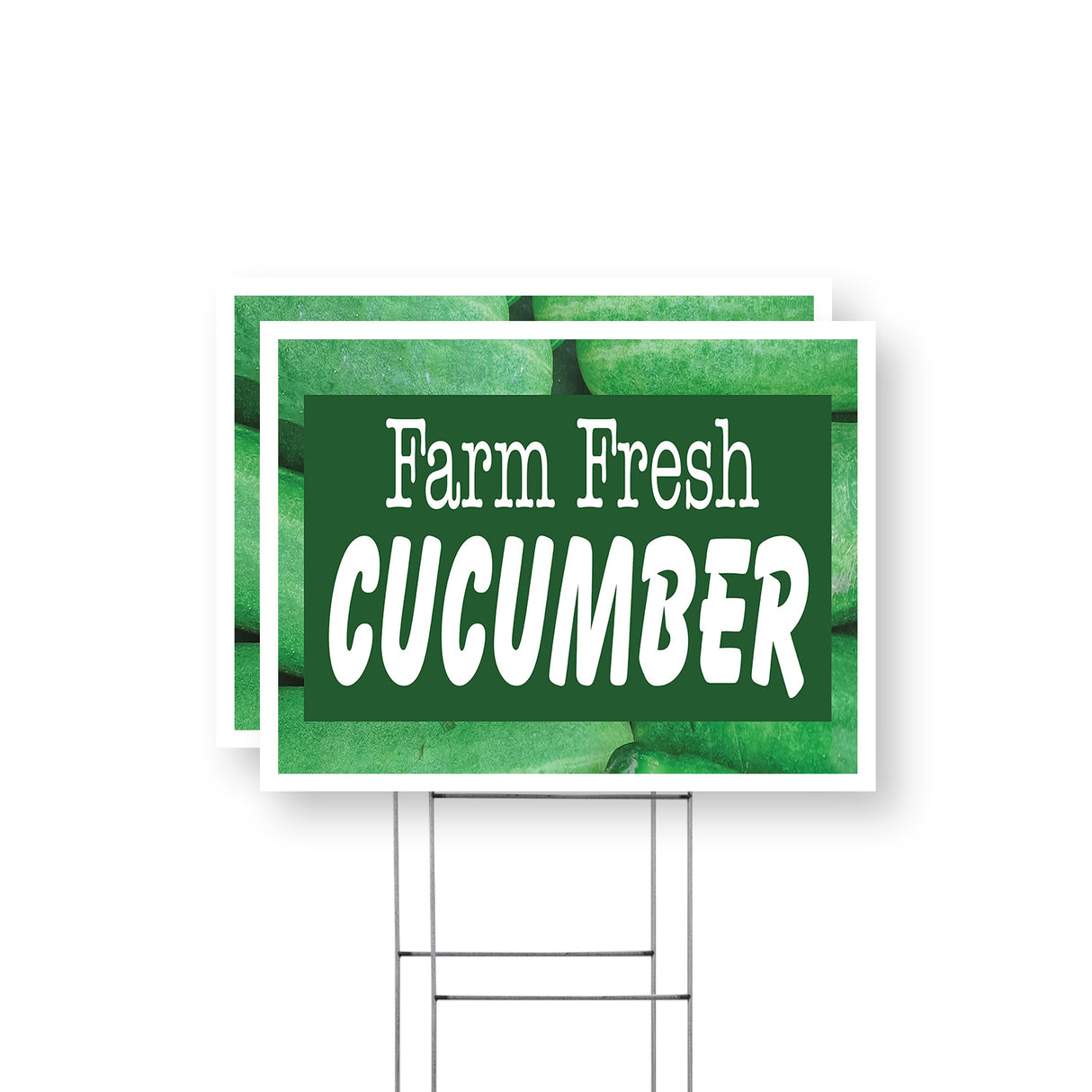 Farm Fresh Cucumber