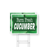Farm Fresh Cucumber