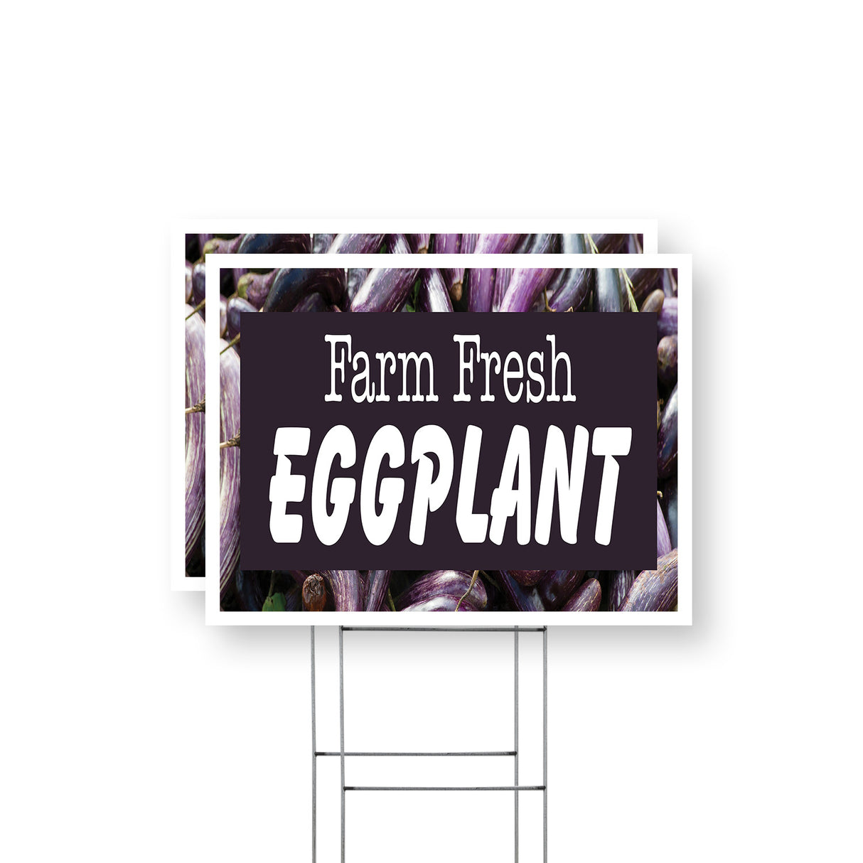 Farm Fresh Eggplant