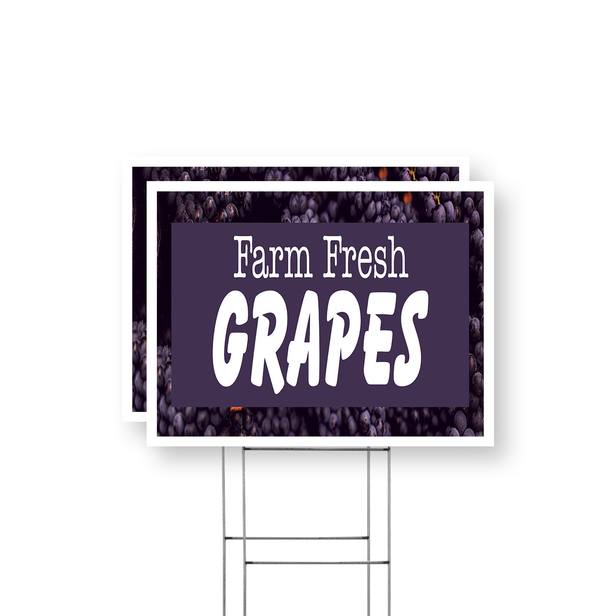 Farm Fresh Grapes
