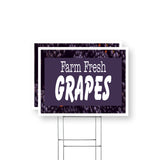 Farm Fresh Grapes