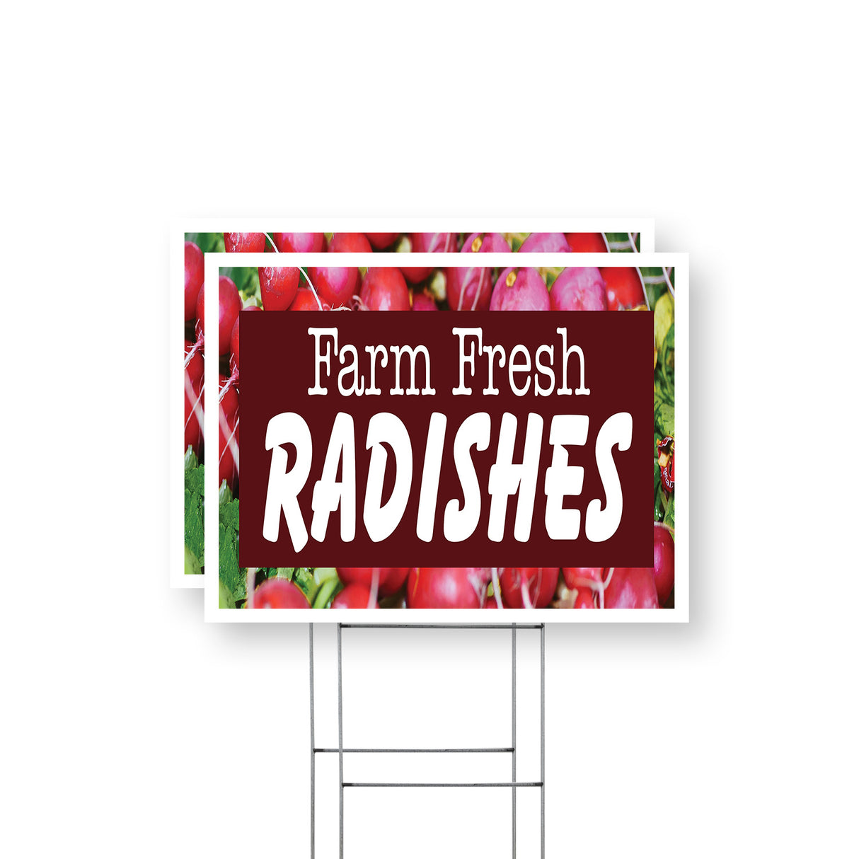 Farm Fresh Radishes