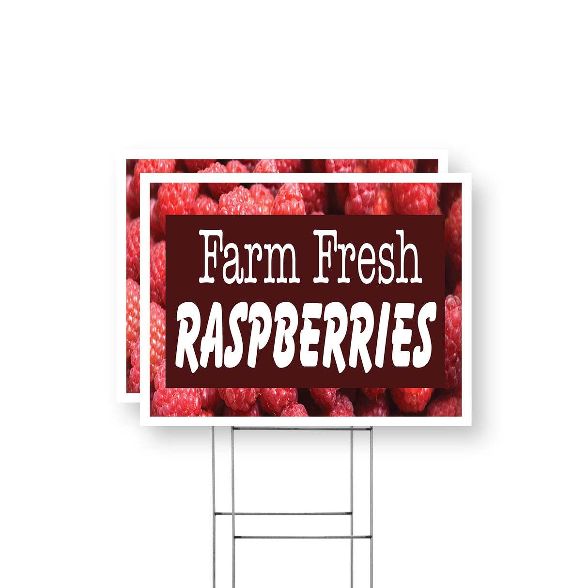 Farm Fresh Raspberries