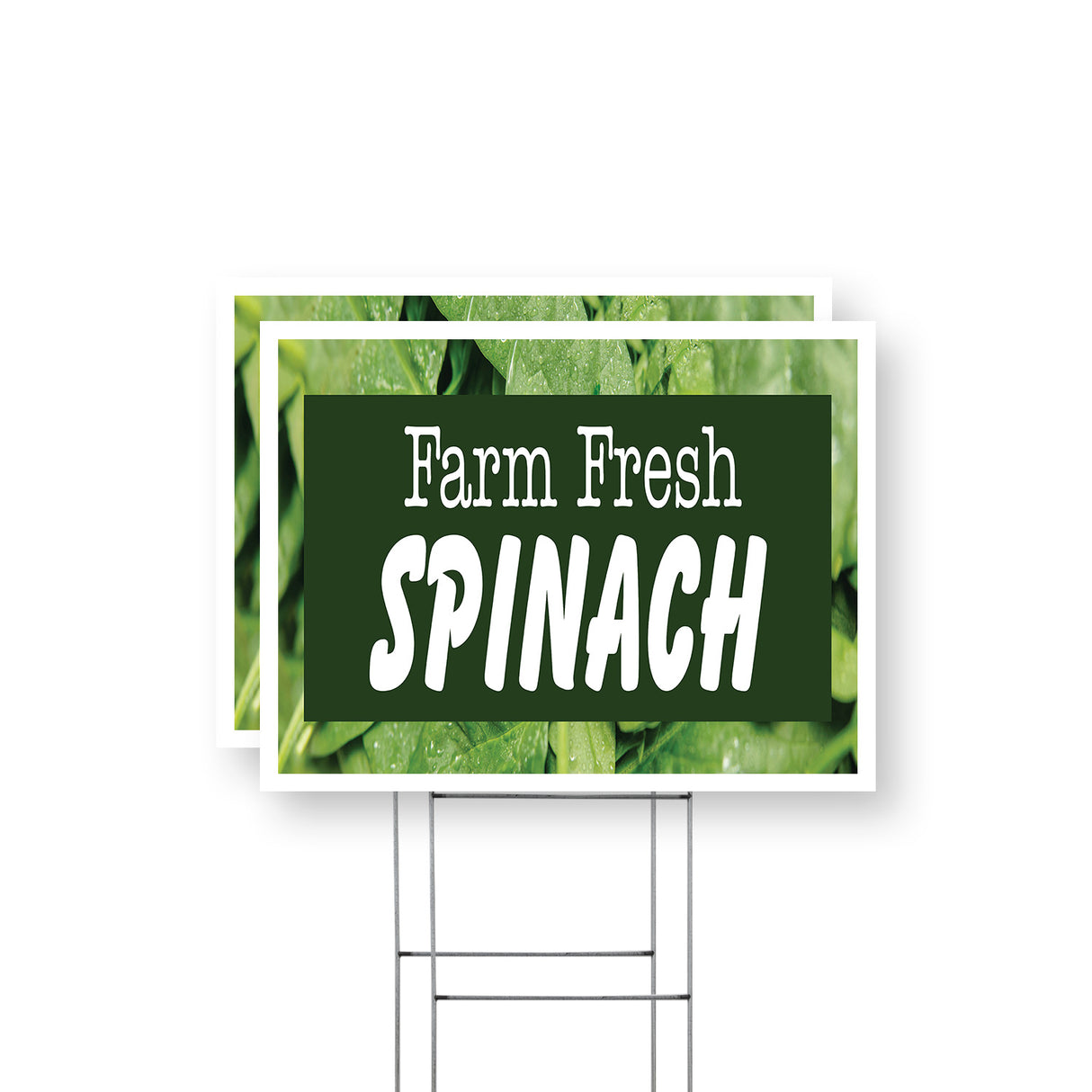 Farm Fresh Spinach