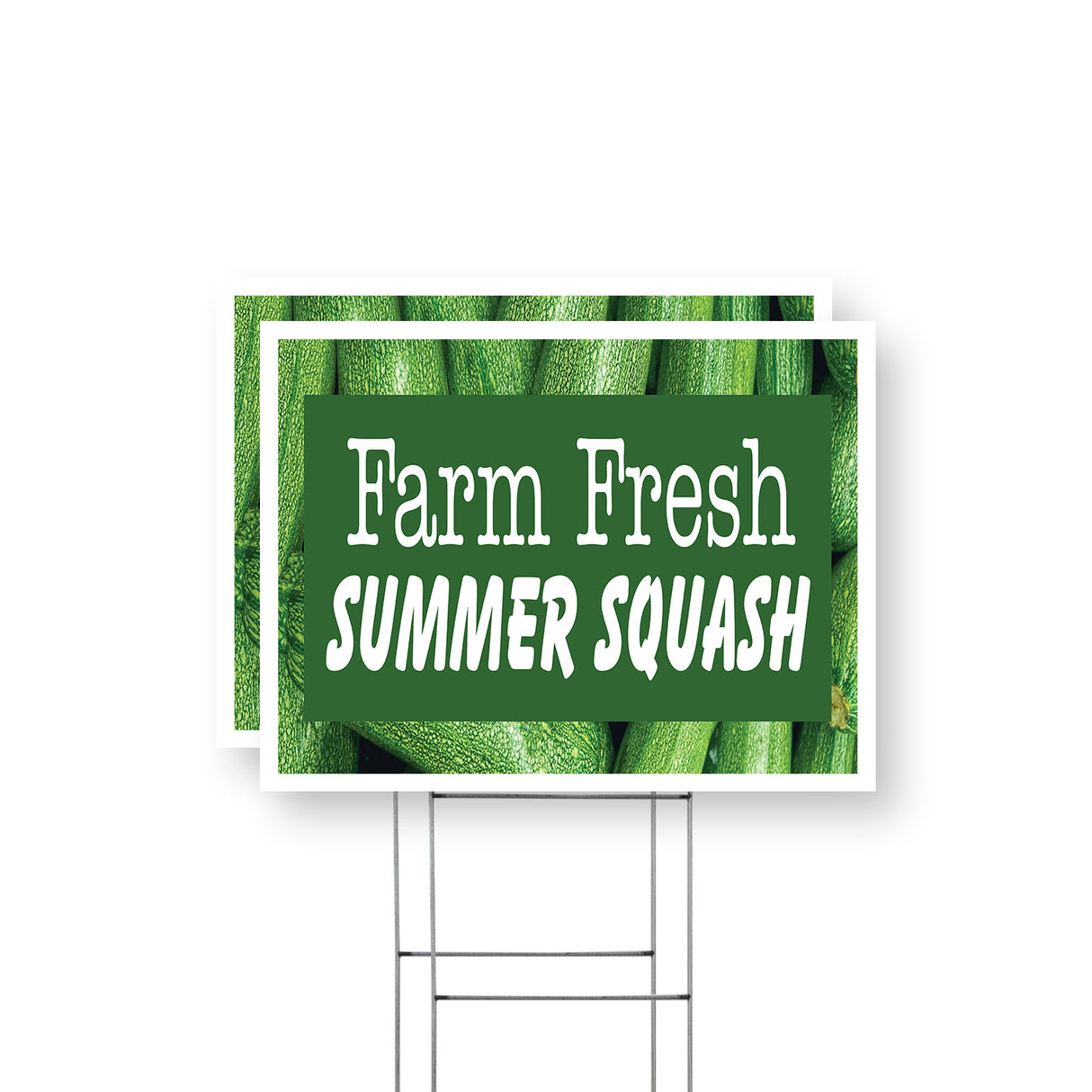 Farm Fresh Summer Squash