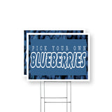 Pick Your Own Blueberries