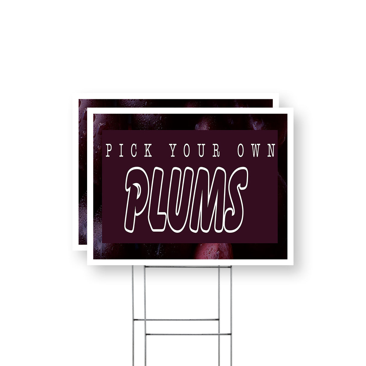 Pick Your Own Plums