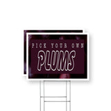 Pick Your Own Plums