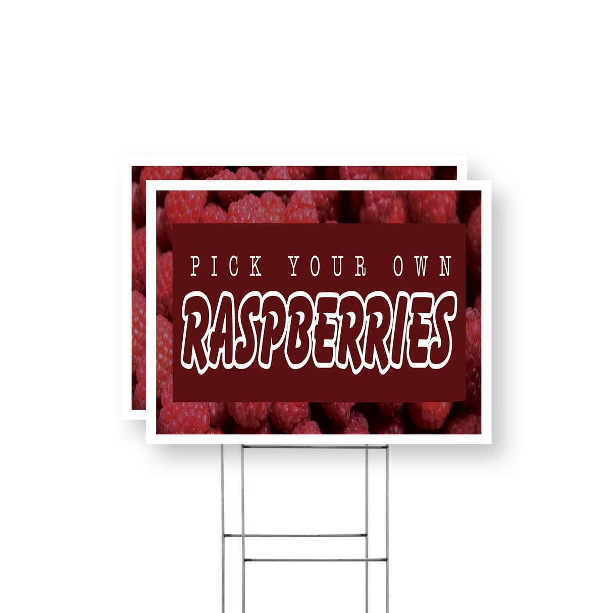 Pick Your Own Raspberries