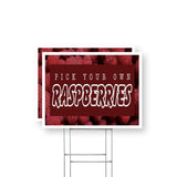 Pick Your Own Raspberries