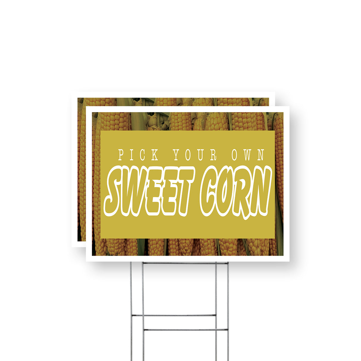 Pick Your Own Sweet Corn