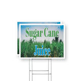 Sugar Cane Juice