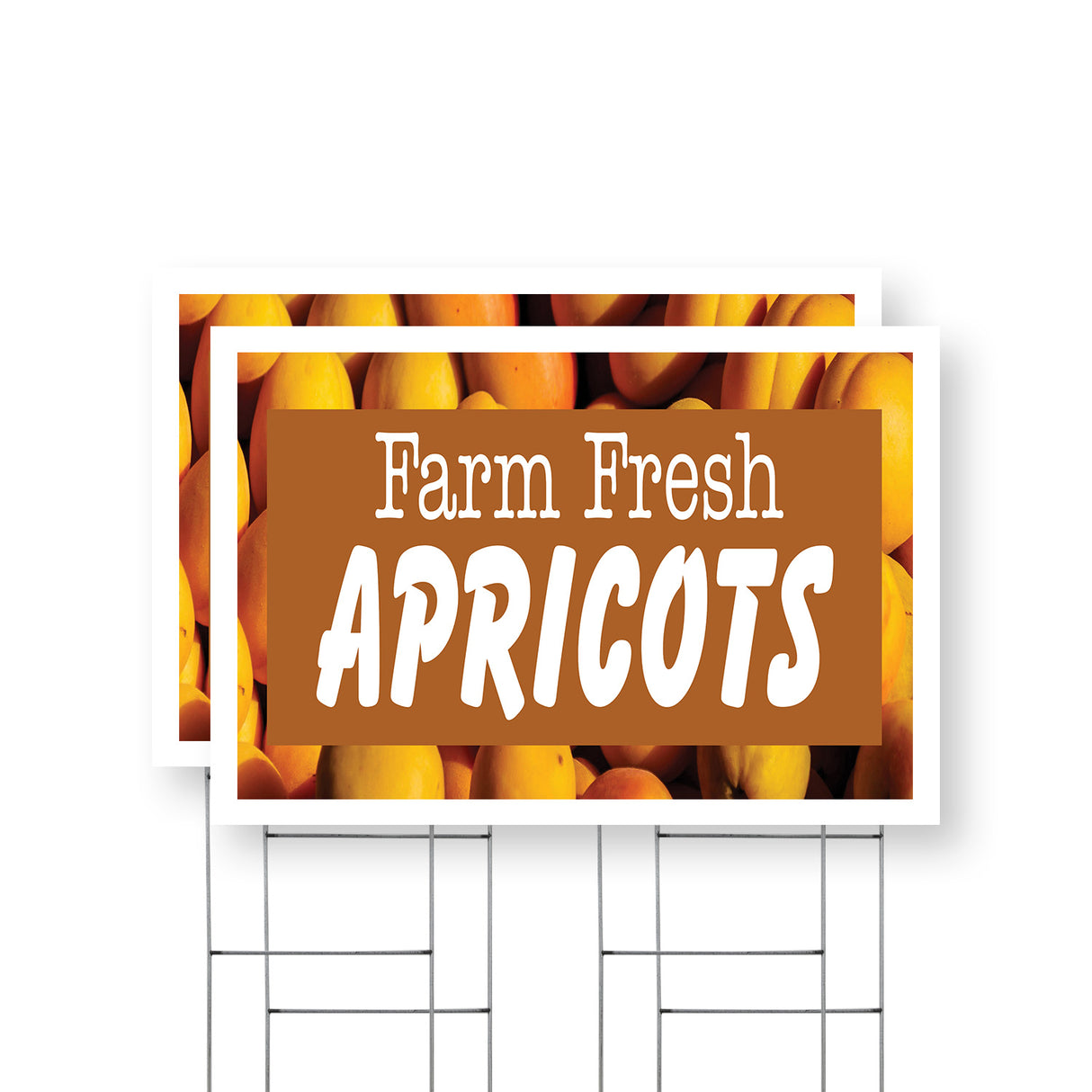 Farm Fresh Apricots