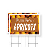 Farm Fresh Apricots