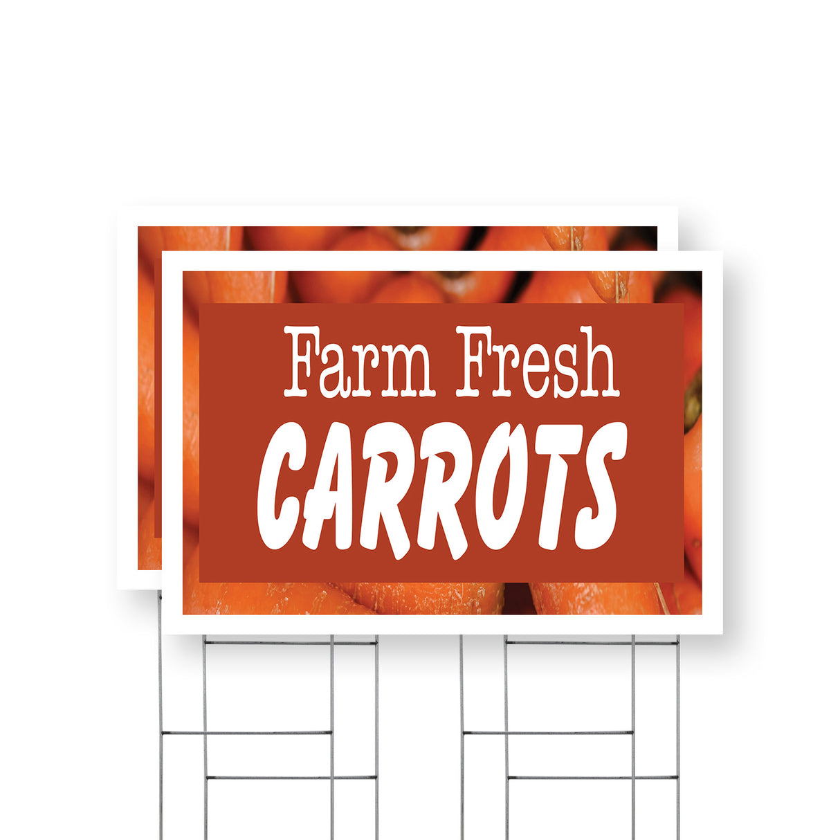 Farm Fresh Carrots