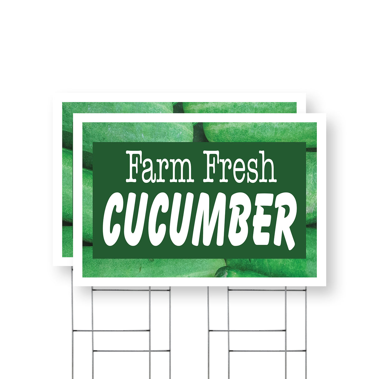 Farm Fresh Cucumber