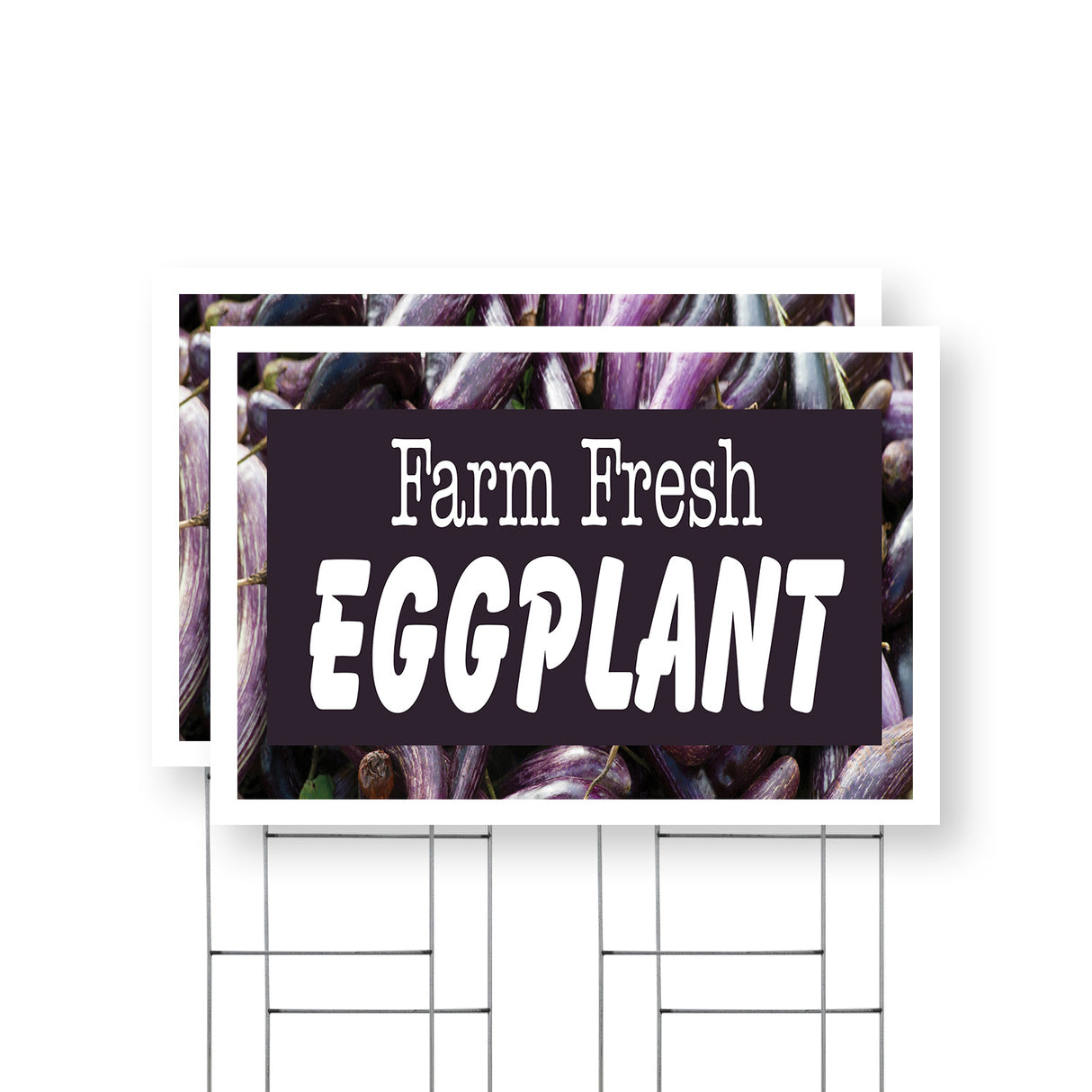Farm Fresh Eggplant