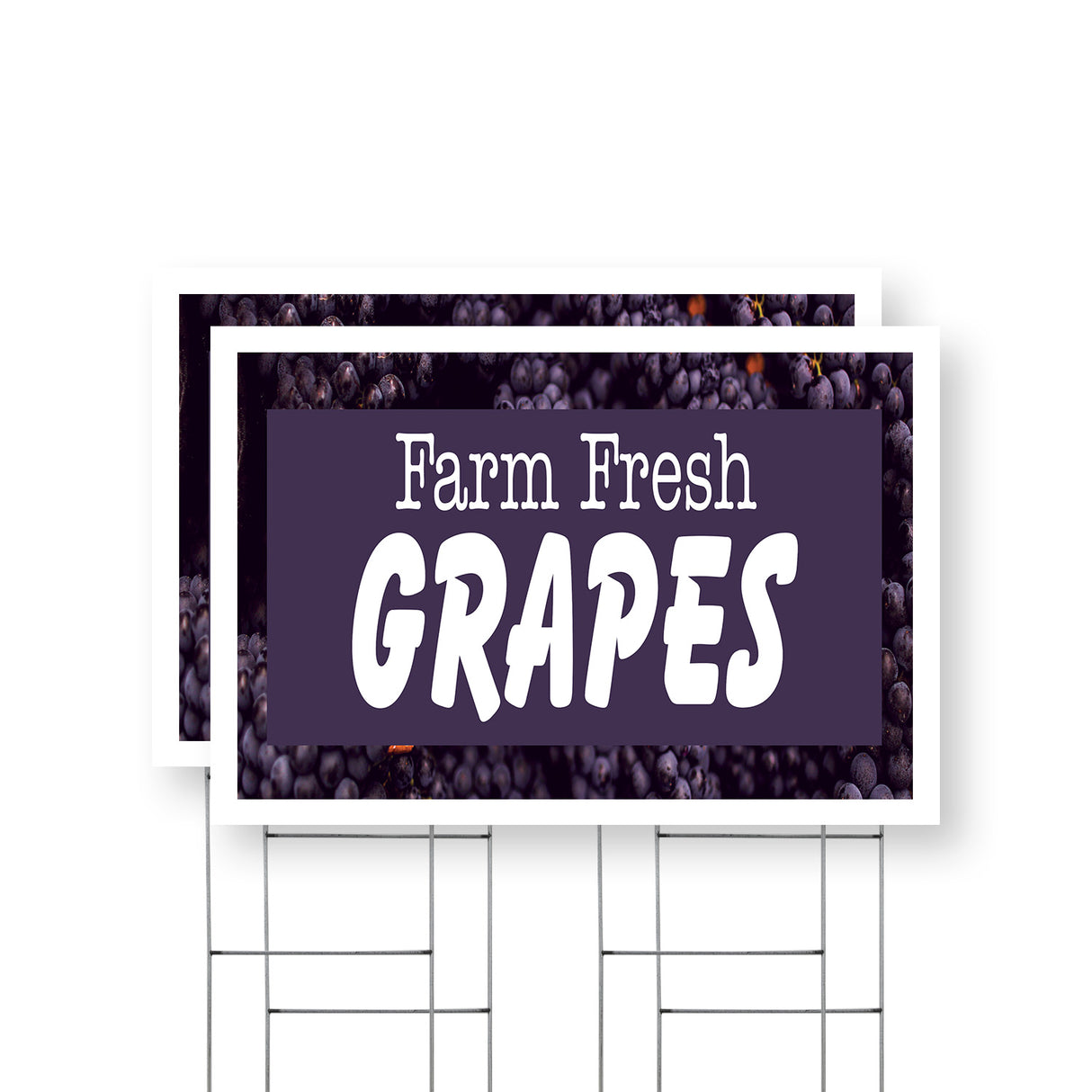 Farm Fresh Grapes