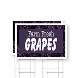Farm Fresh Grapes