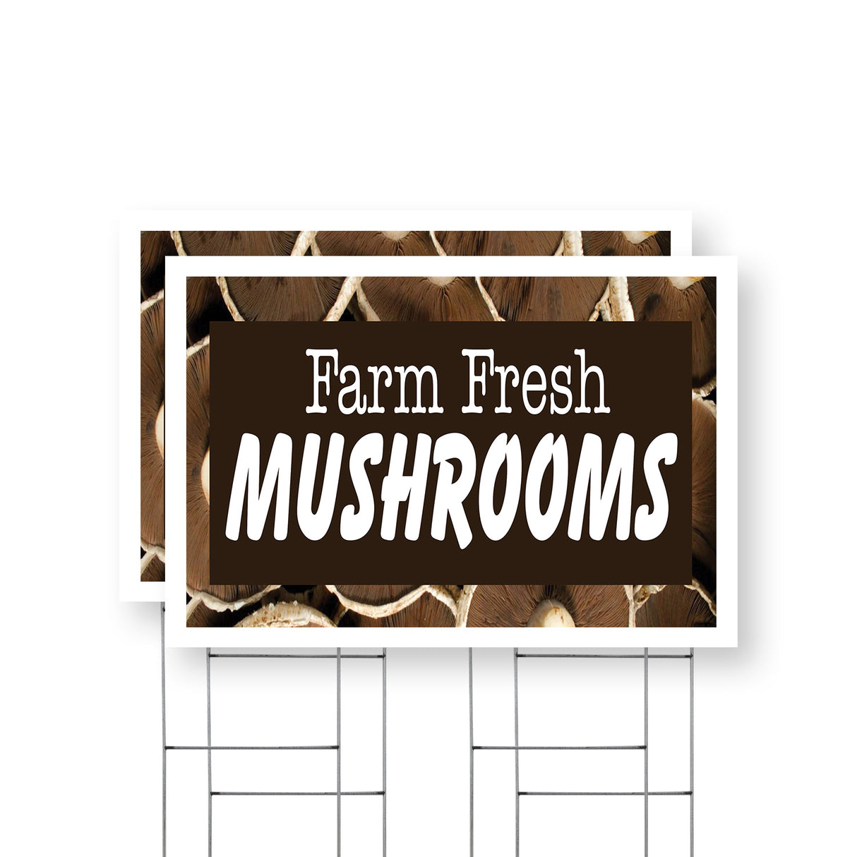 Farm Fresh Mushrooms