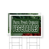 Farm Fresh Organic Vegetables