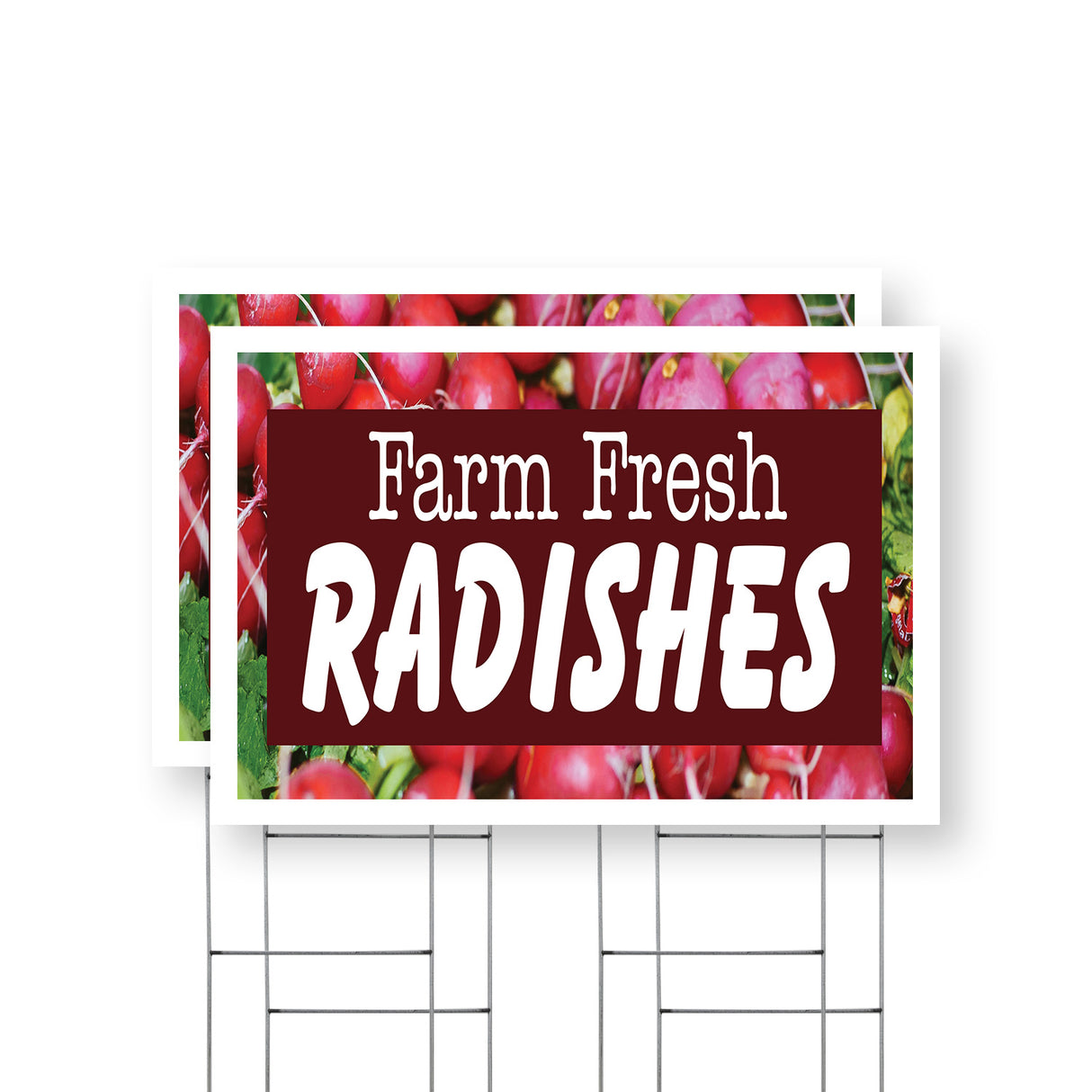 Farm Fresh Radishes