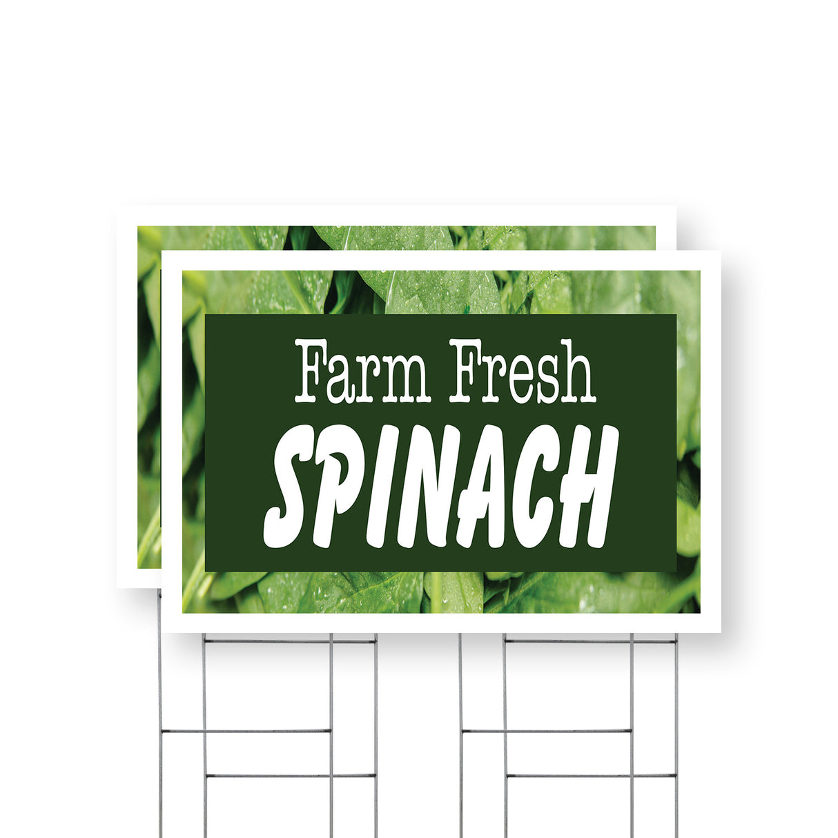 Farm Fresh Spinach