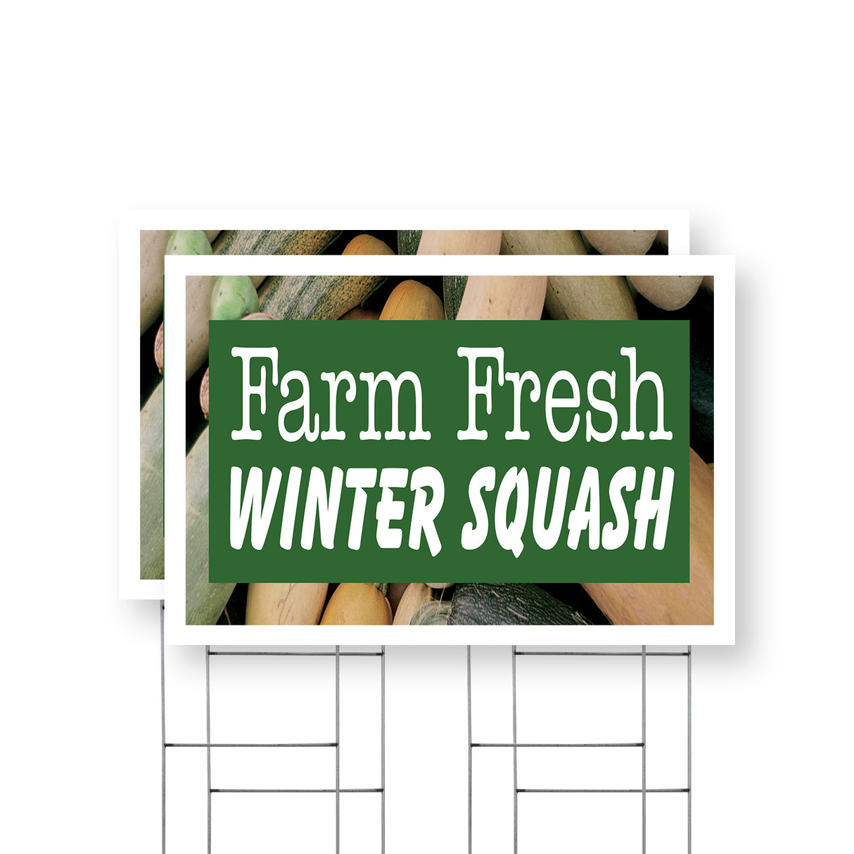 Farm Fresh Winter Squash