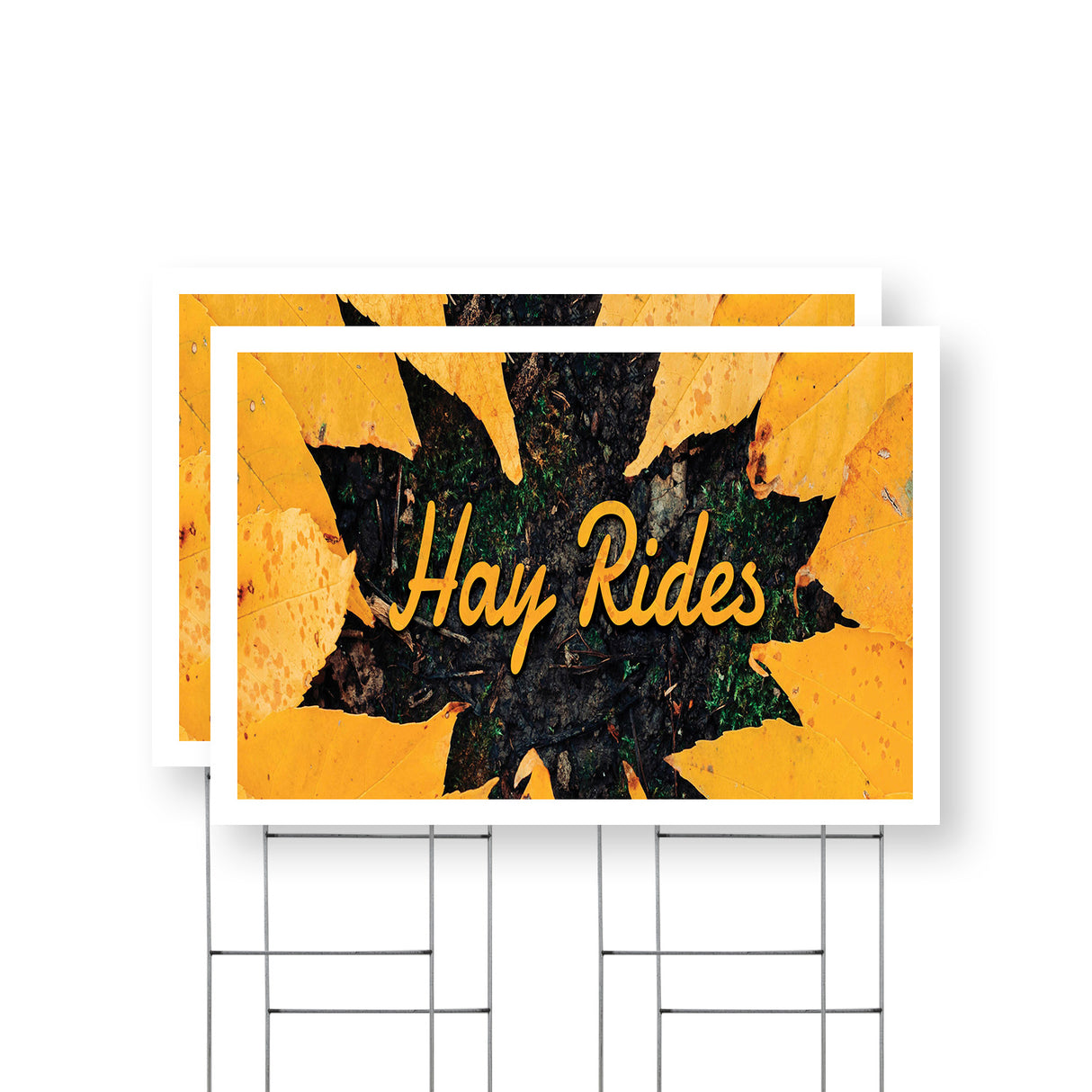 Hay Rides
