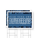 Pick Your Own Blueberries