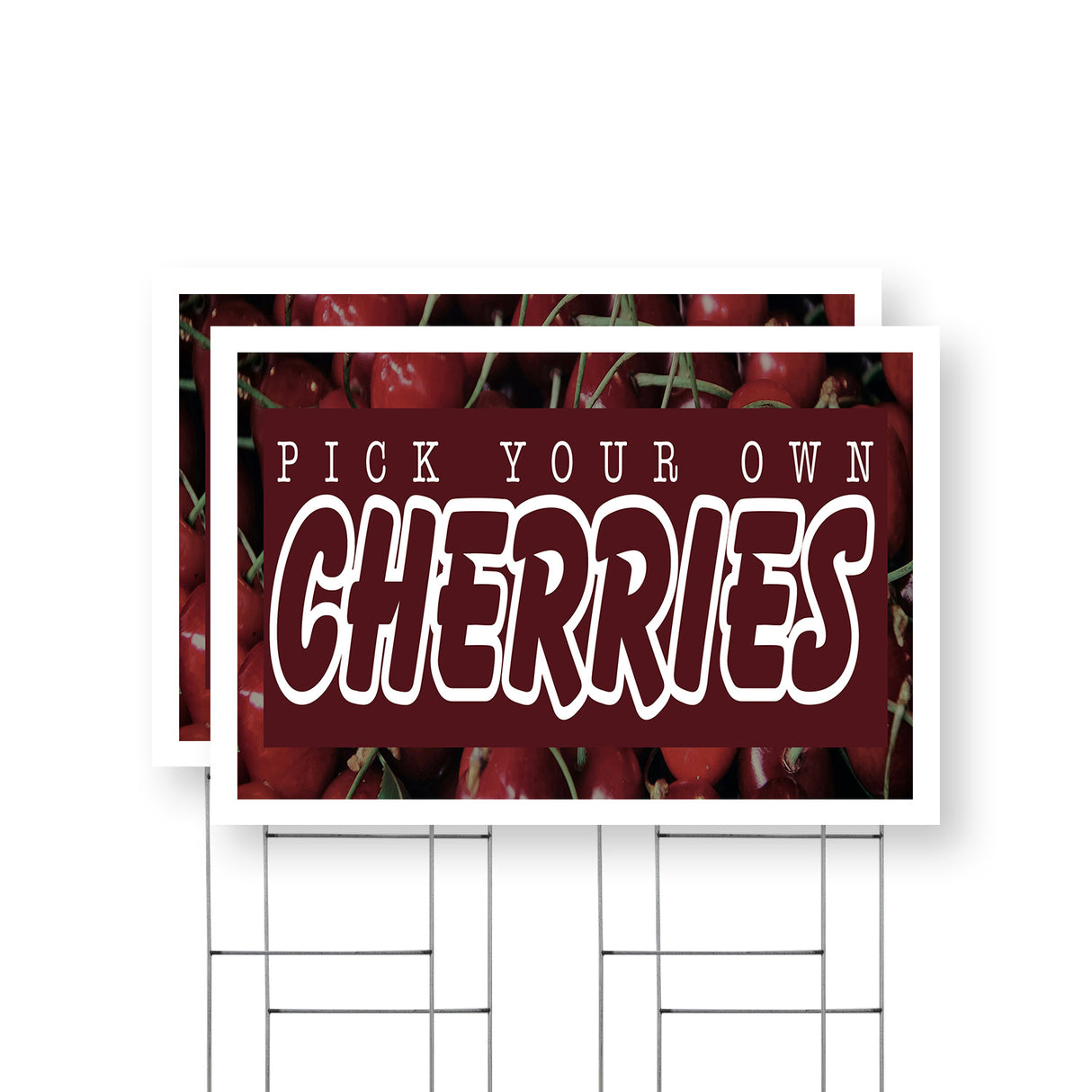 Pick Your Own Cherries