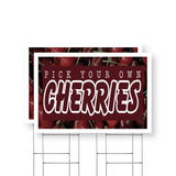 Pick Your Own Cherries