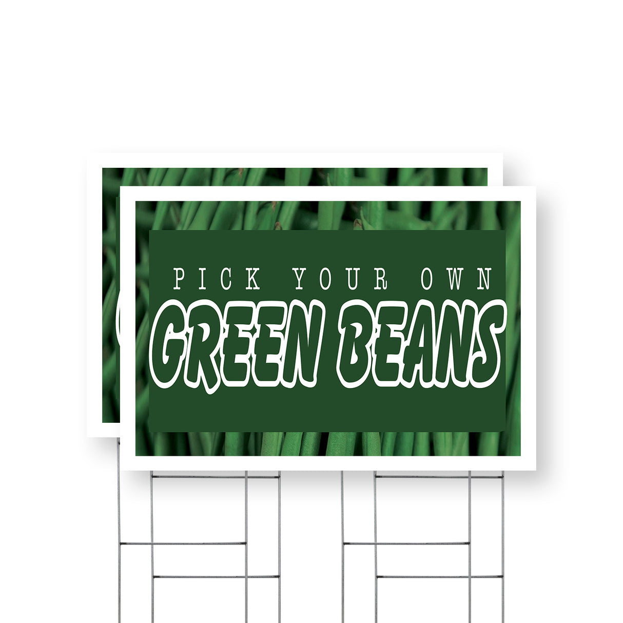 Pick Your Own Green Beans