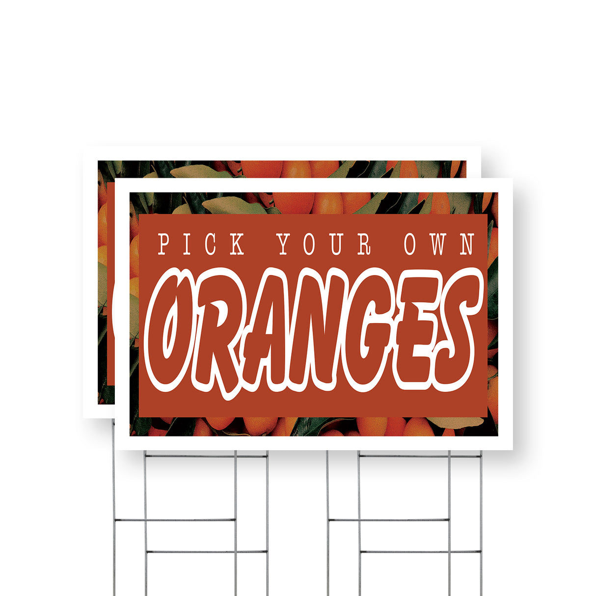 Pick Your Own Oranges