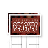 Pick Your Own Peaches