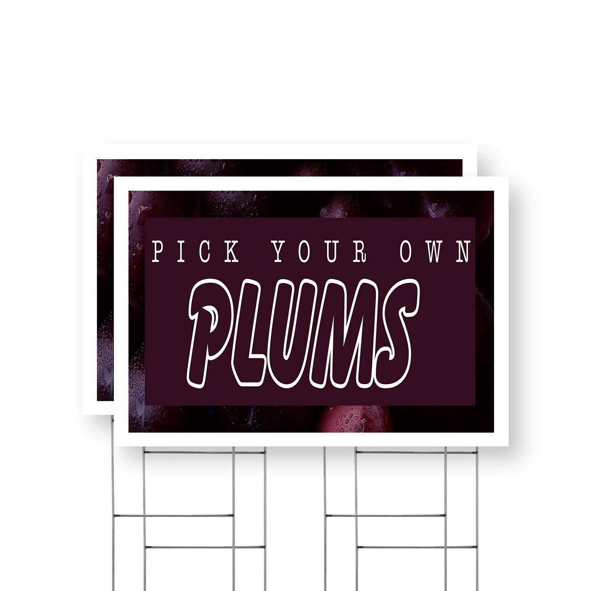 Pick Your Own Plums