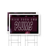 Pick Your Own Plums