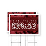 Pick Your Own Raspberries