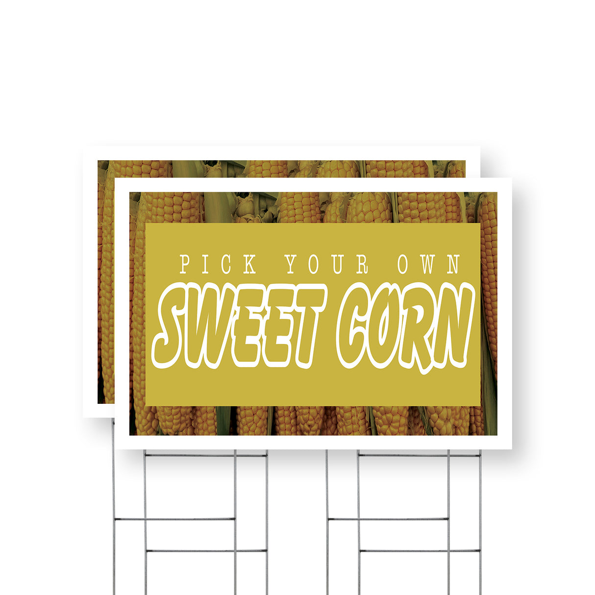 Pick Your Own Sweet Corn