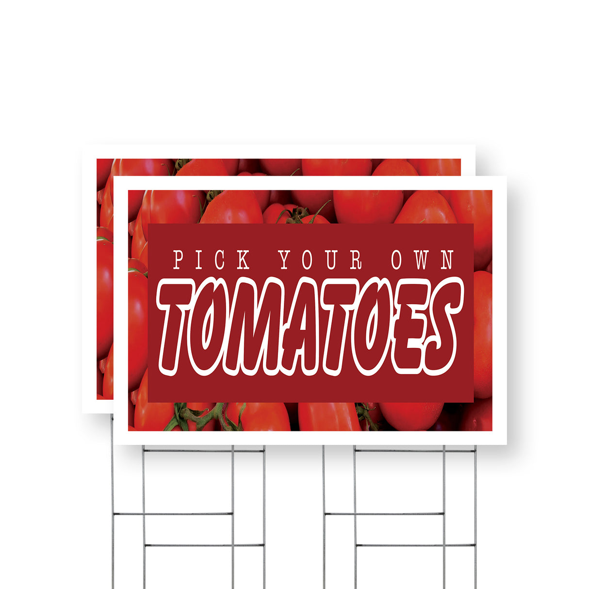 Pick Your Own Tomatoes