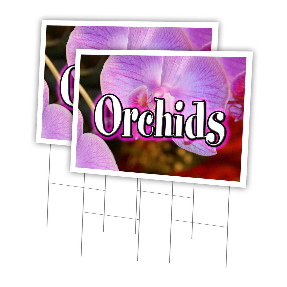 ORCHIDS