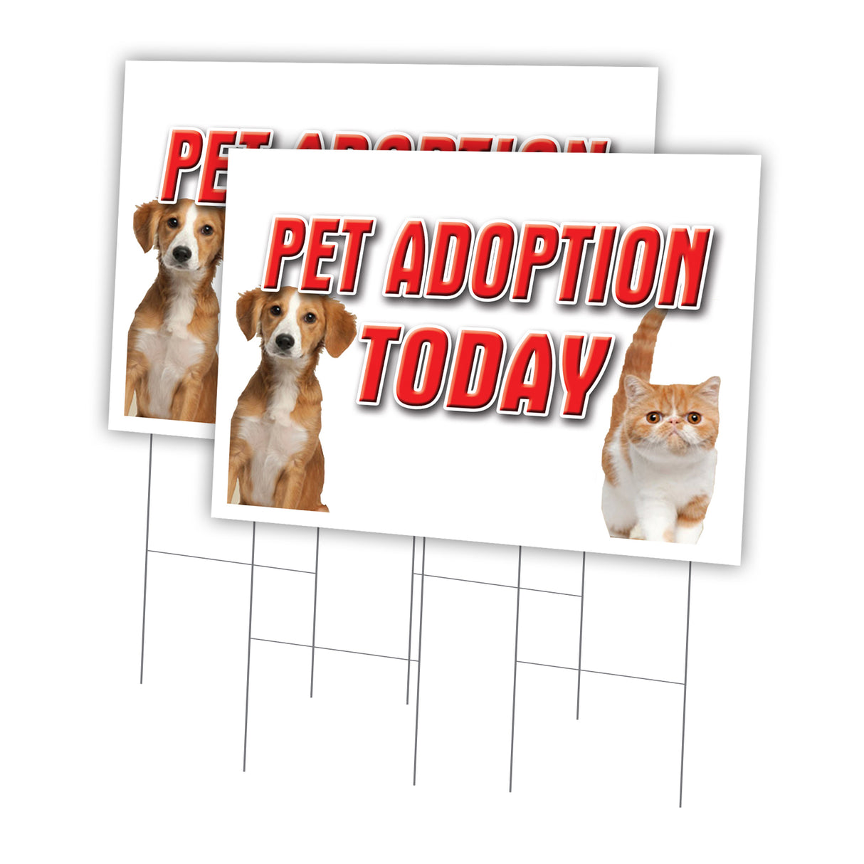 PET ADOPTION TODAY