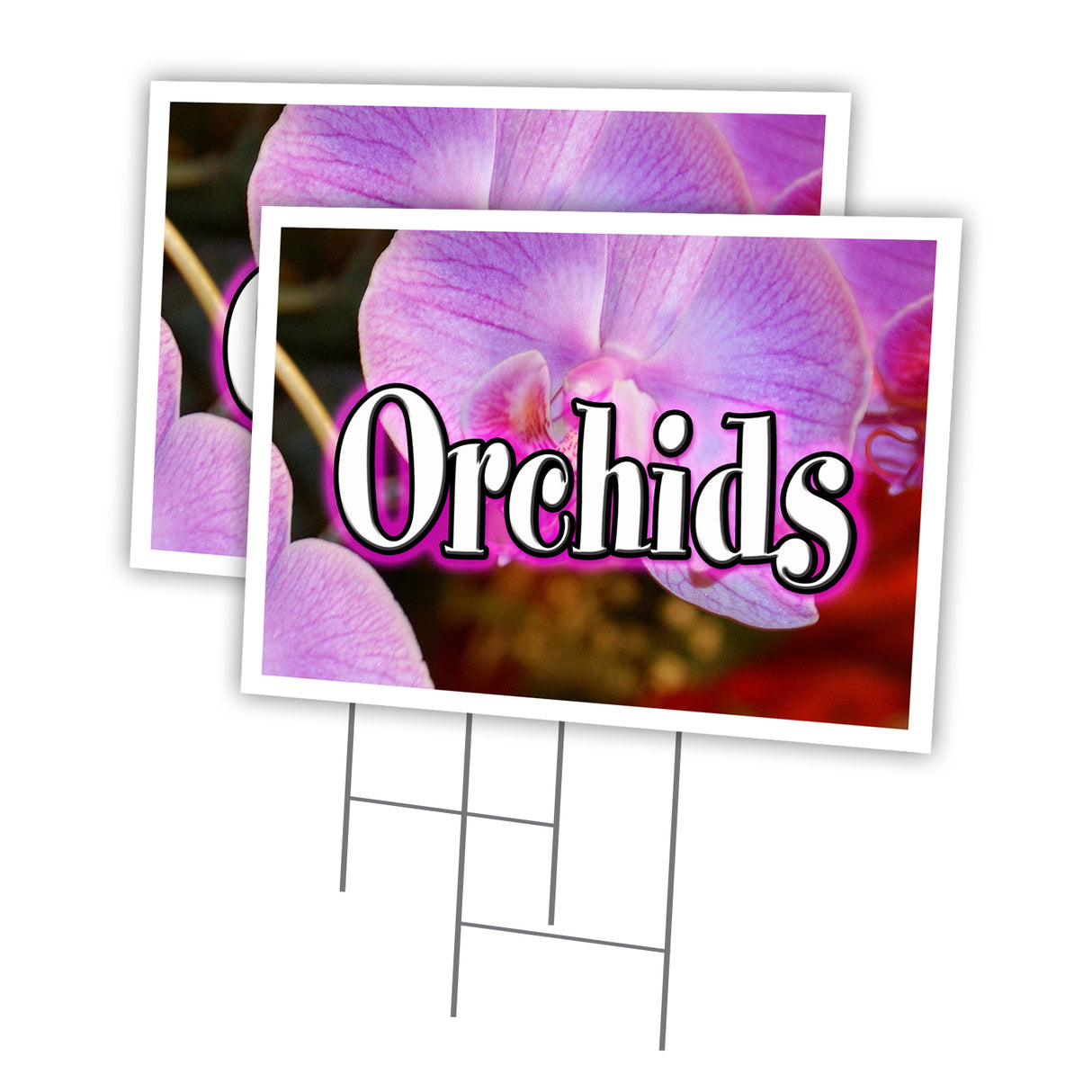ORCHIDS