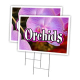ORCHIDS