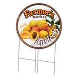 Farmer's Market Apricots Circle